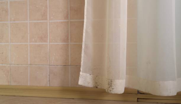 Best Indoor Air Quality Assessment  in South Lancaster, MA