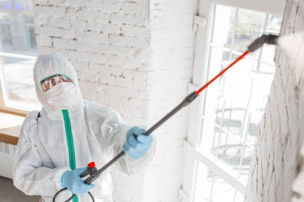 Mold Odor Removal Services in South Lancaster, MA