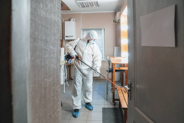 Best Comprehensive Air Testing for Mold Contaminants  in South Lancaster, MA