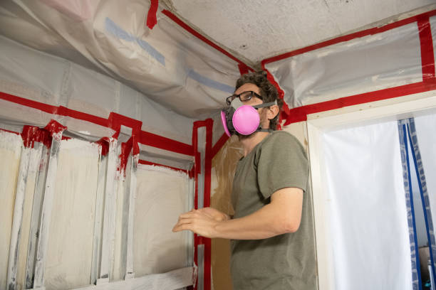 Best Dehumidification Services  in South Lancaster, MA