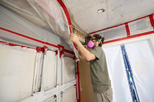 Best Crawl Space Mold Remediation  in South Lancaster, MA