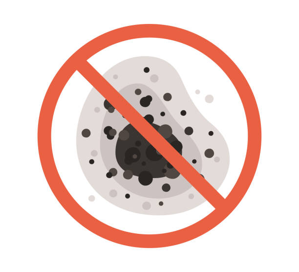 Best Residential Mold Inspection & Testing  in South Lancaster, MA