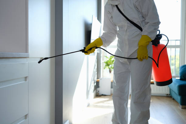 Best Water Damage & Mold Remediation  in South Lancaster, MA