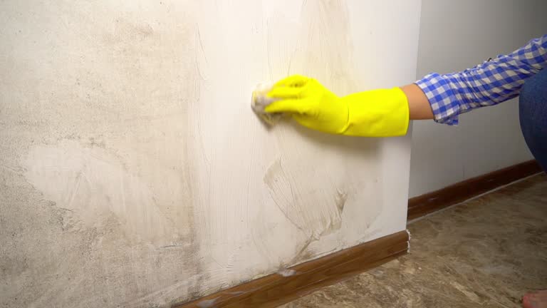 Best Industrial Mold Remediation  in South Lancaster, MA