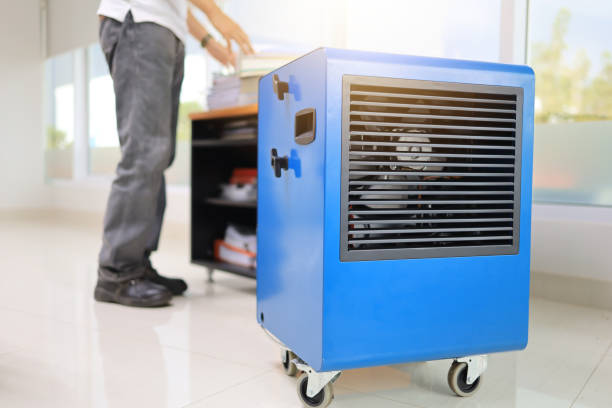 Best Air Quality Testing for Mold Spores  in South Lancaster, MA