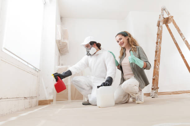 Best Basement Mold Removal  in South Lancaster, MA