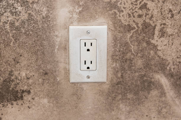 Best Commercial Mold Inspection  in South Lancaster, MA